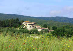 Azienda Agricola La Busca - Toscane - Location d'appartements
