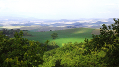 Azienda Agricola La Busca - Toscane - Location d'appartements