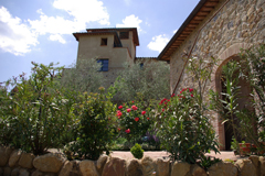 Azienda Agricola La Busca - Toscane - Location d'appartements